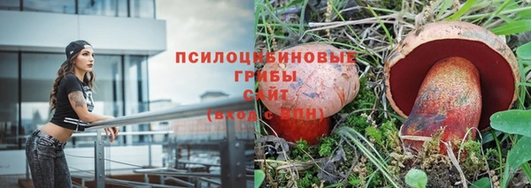 spice Корсаков