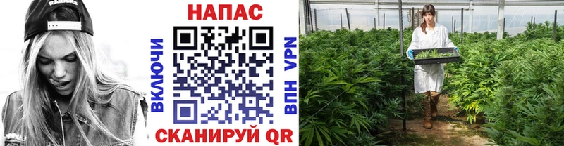 Канабис LSD WEED  Купить закладки  Рудня 